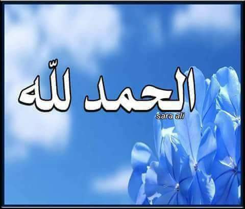 Ahmed AbdElrazek__6HVm